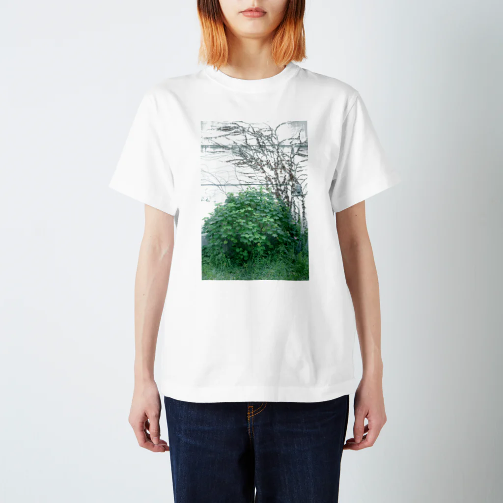 abstractのつたのかべ Regular Fit T-Shirt