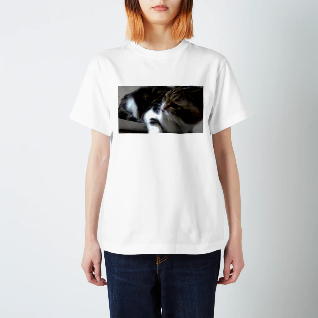 ◕きのなつぴ Regular Fit T-Shirt