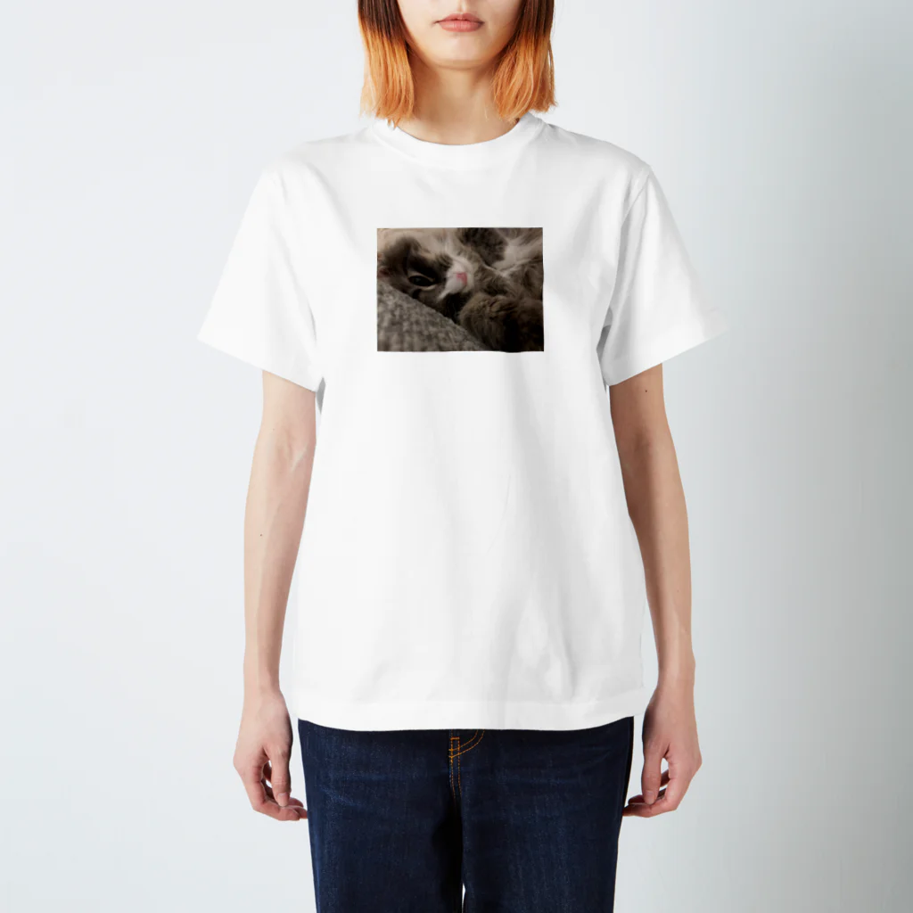 HALERUNのノルウェージャン　フォレストキャット　ハルちゃん　猫 スタンダードTシャツ