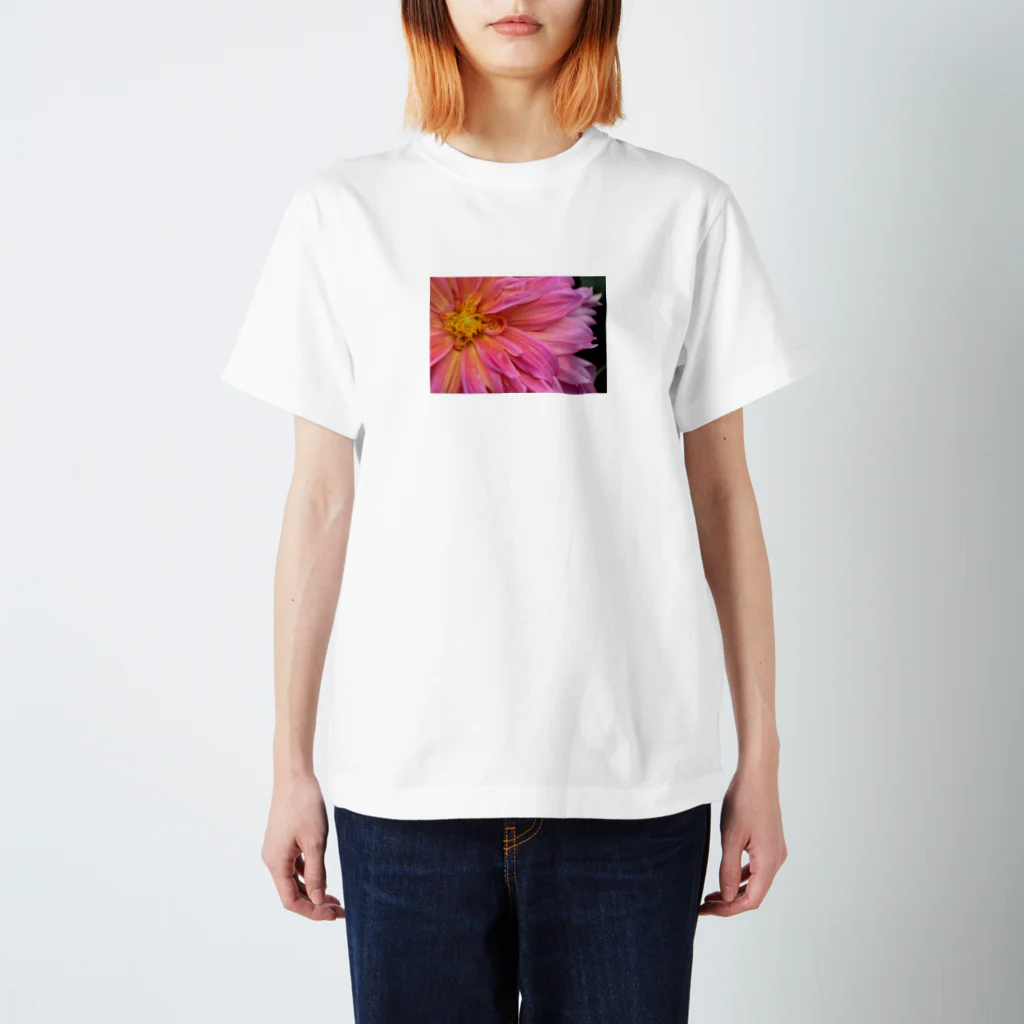 flower_basketのピンクの花 スタンダードTシャツ