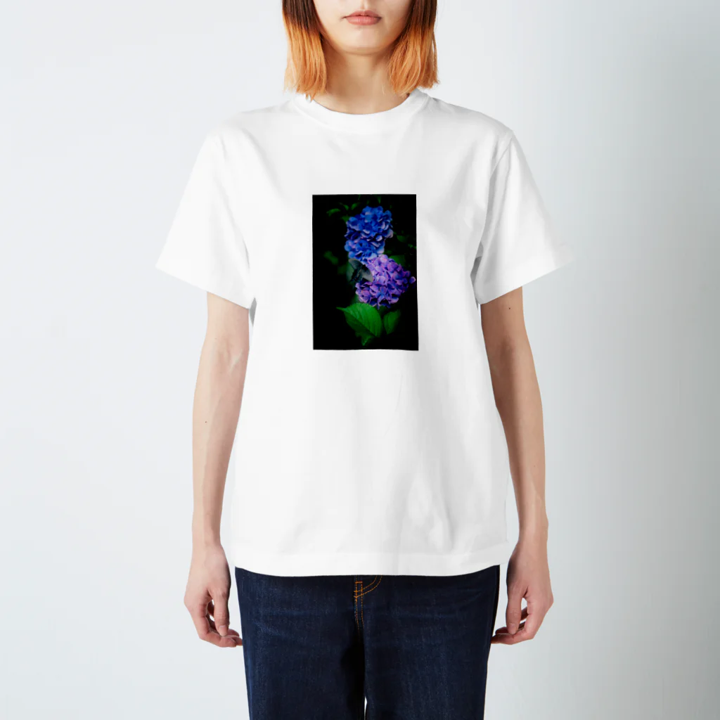 Photographer non.'s shopの紫陽花とクロアゲハ スタンダードTシャツ