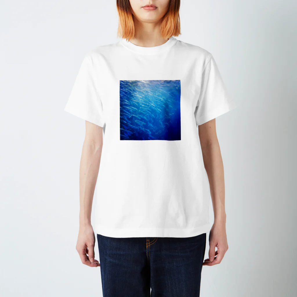 POP&Photoのsardine tornado photo スタンダードTシャツ