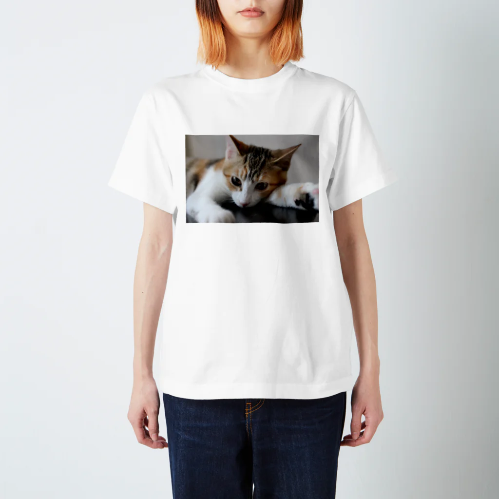 猫森トモミの三毛猫ネネ スタンダードTシャツ