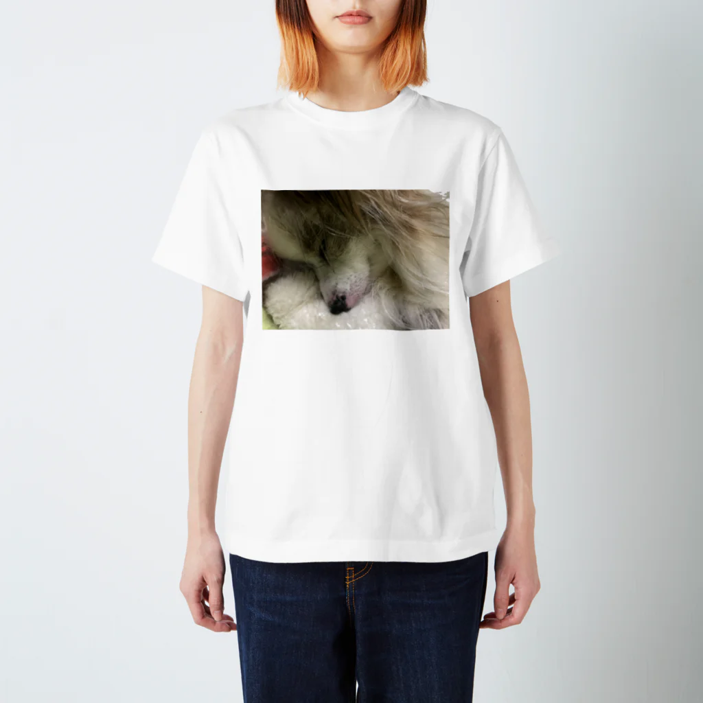 Rinaのてんてん Regular Fit T-Shirt