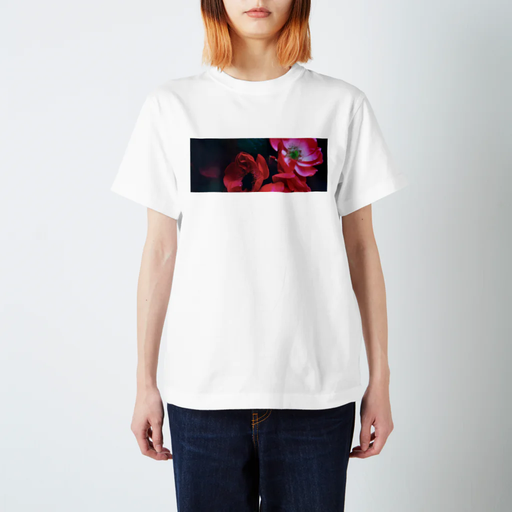 ぱふんうにのみつばち Regular Fit T-Shirt