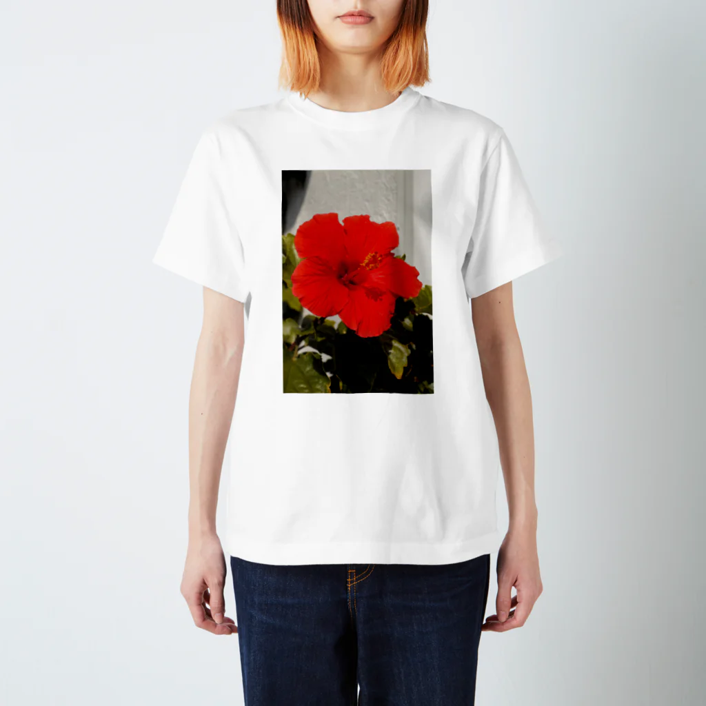 w_yutaka_wのHibisus スタンダードTシャツ