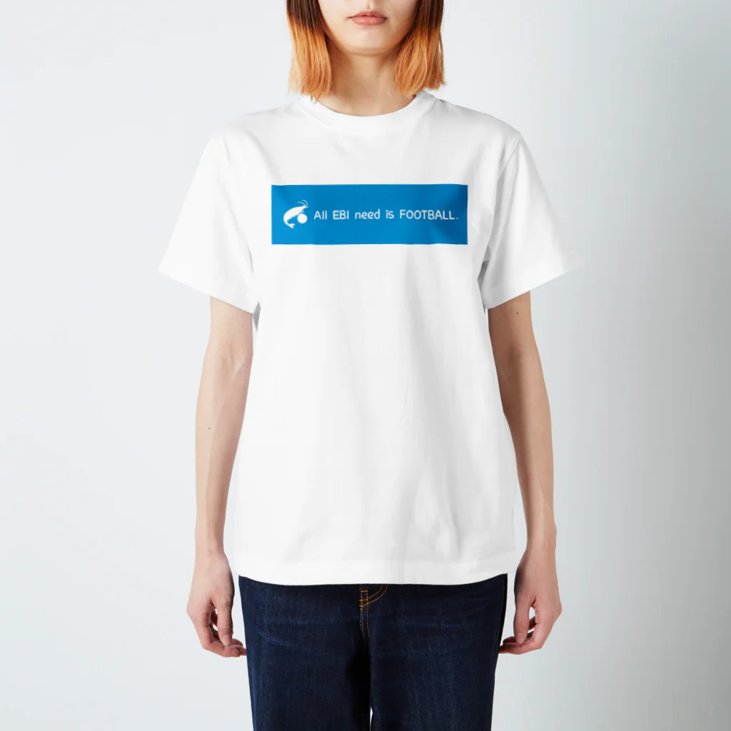 toriのおみせのAENF(そらいろ) Regular Fit T-Shirt