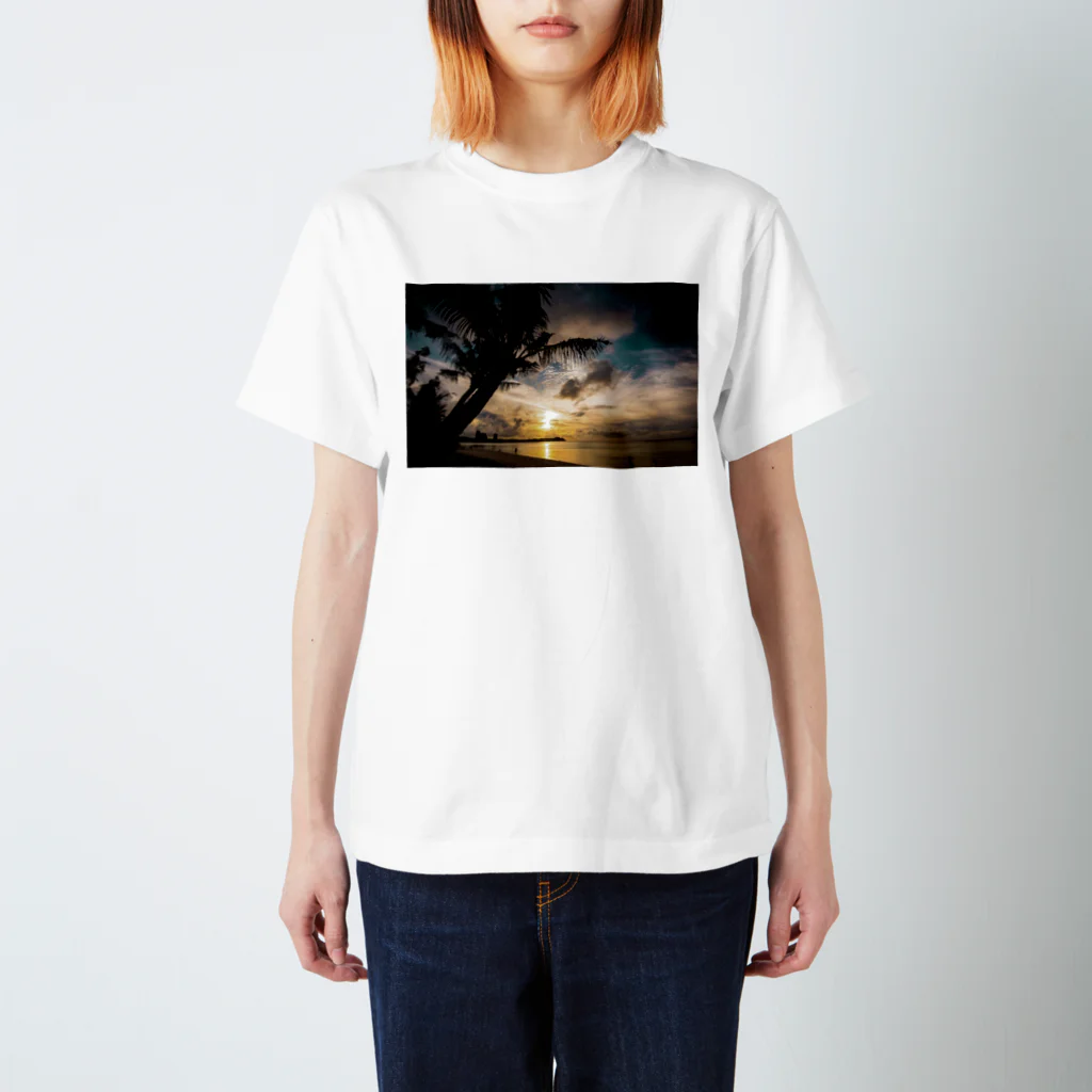 篠原裕明の綺麗な写真 スタンダードTシャツ