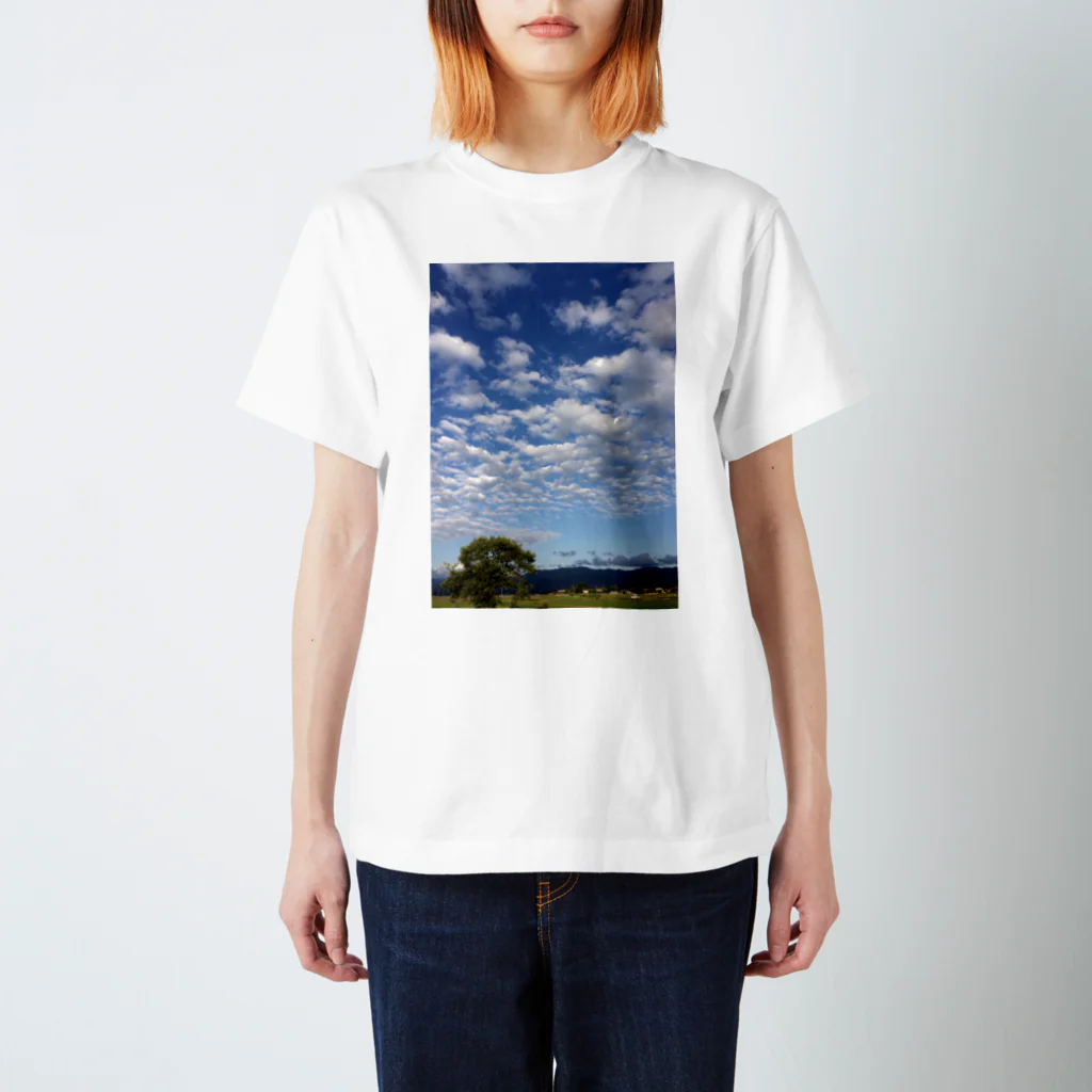 pintのPint Photo 11 スタンダードTシャツ