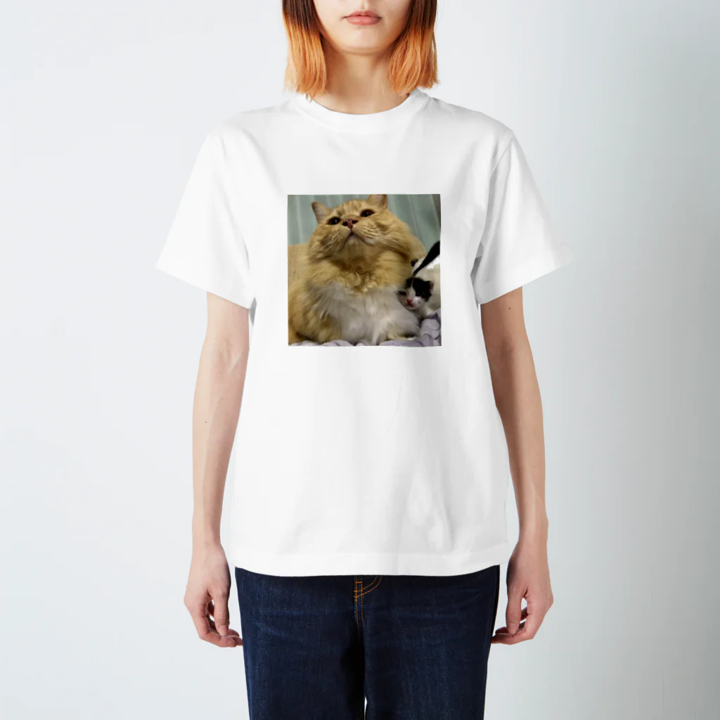猫太郎の2019年4月1日 スタンダードTシャツ