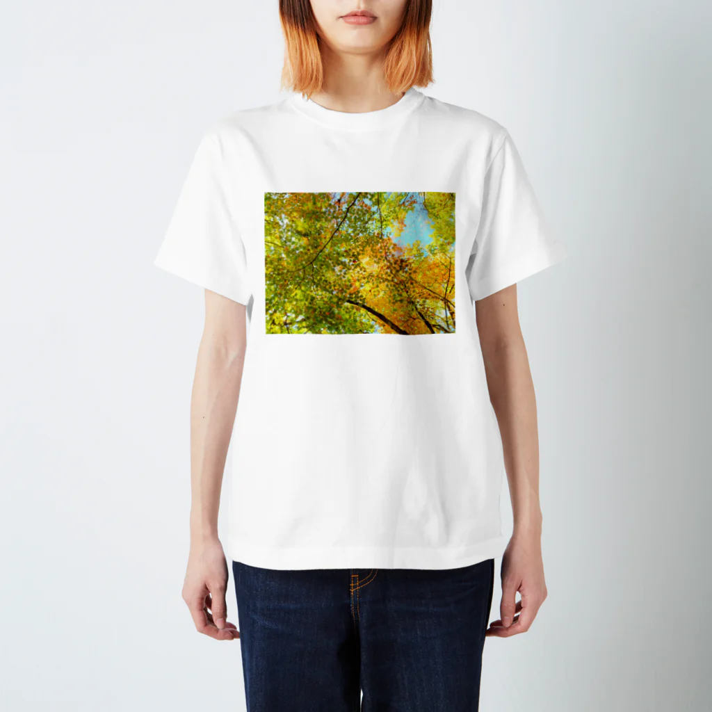 山　生活の紅葉 スタンダードTシャツ