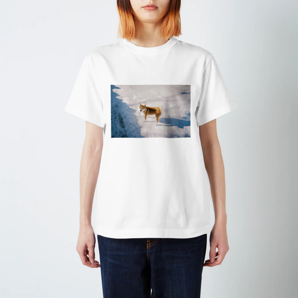 Porterの青森の犬 Regular Fit T-Shirt