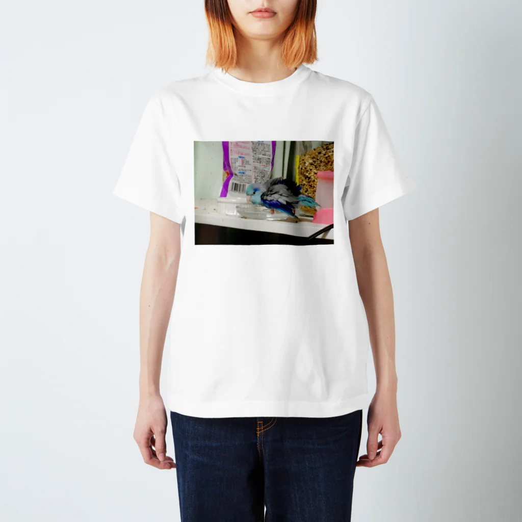 maryukoesのマメルリハインコ Regular Fit T-Shirt