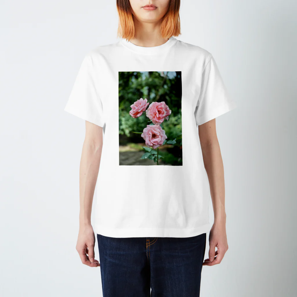 ニコフォトのちょい枯れた薔薇 スタンダードTシャツ