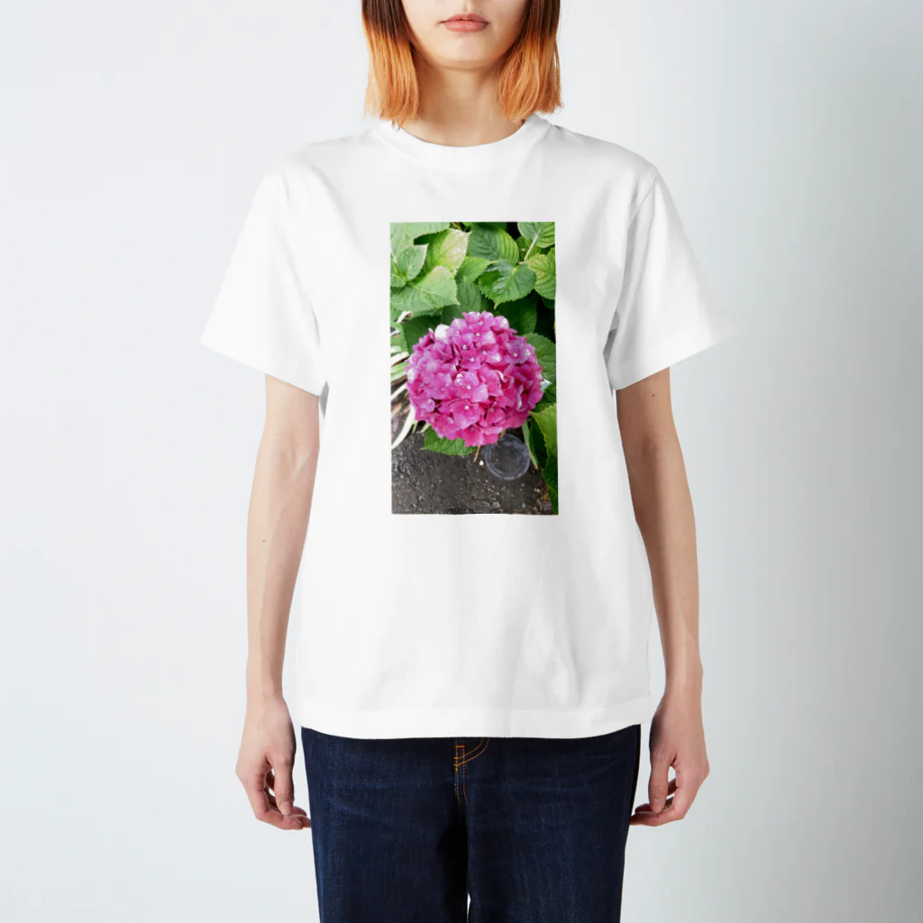 フラワーライフ💐🌹の紫陽花✨ スタンダードTシャツ