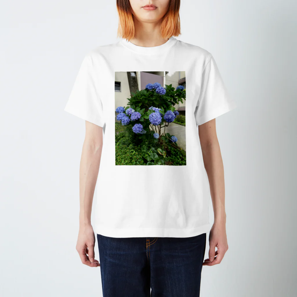 yurzukiの紫陽花 スタンダードTシャツ