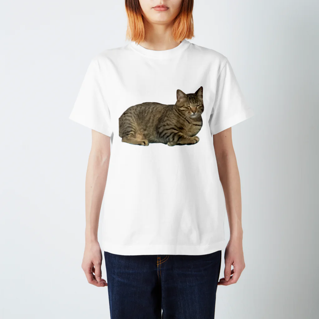 えのきの猫 スタンダードTシャツ