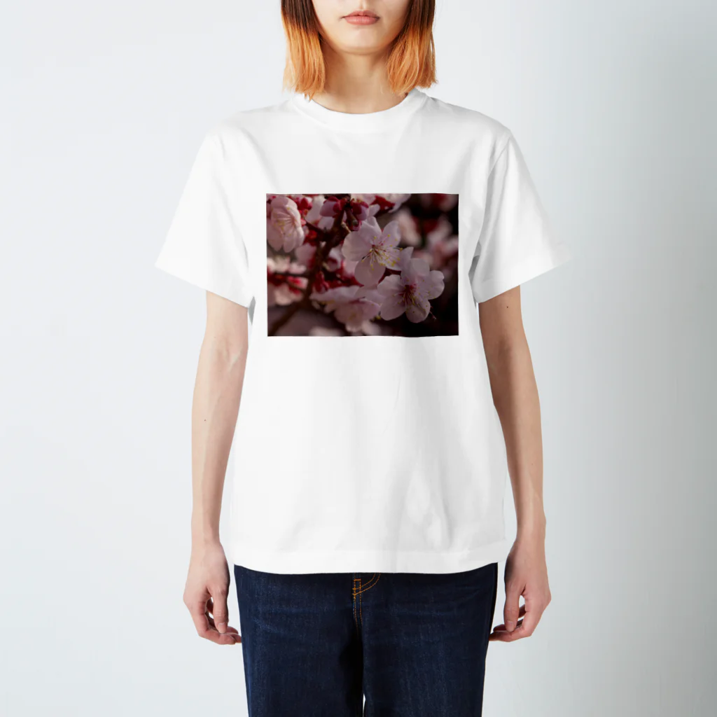 hiroki-naraの梅　ウメ　Japanese　apricot DATA_P_155　春　spring スタンダードTシャツ