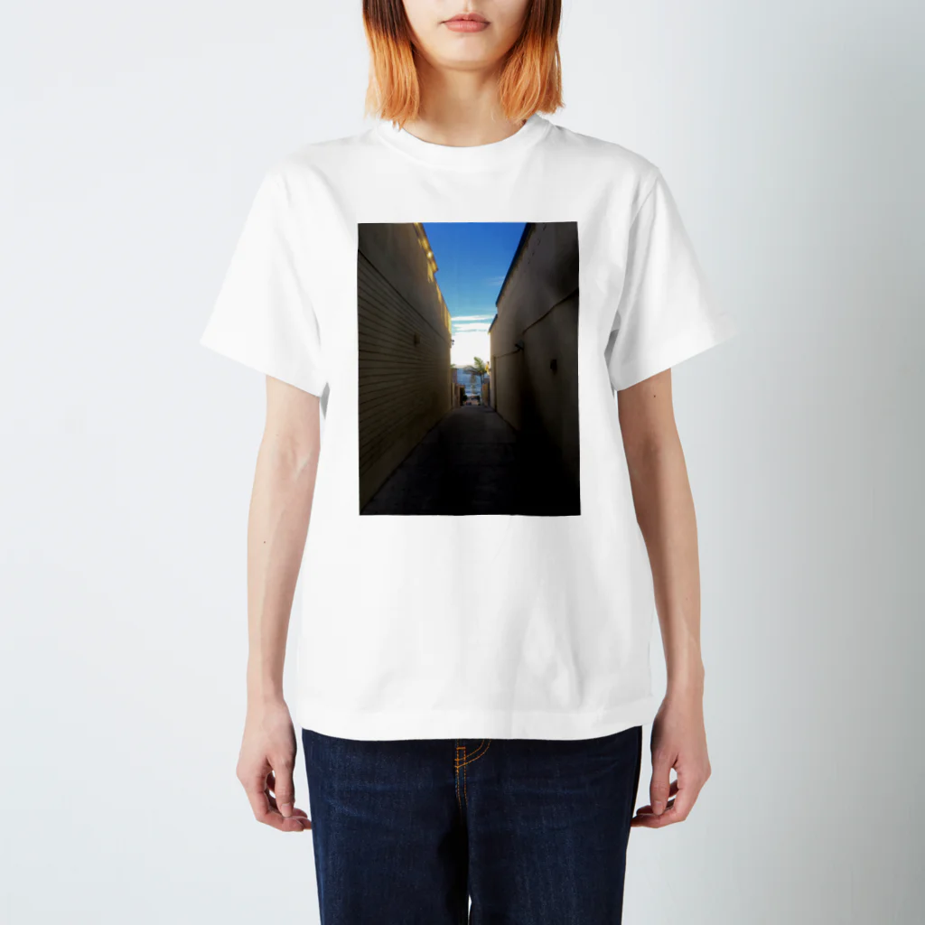 Landscape のSANDIEGO スタンダードTシャツ