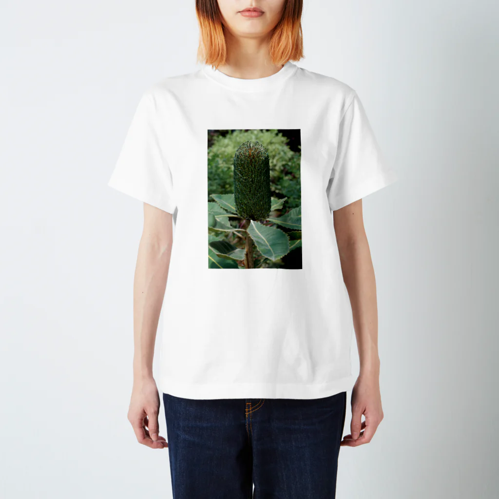両筑デザインプランツのスワンプバンクシア Regular Fit T-Shirt