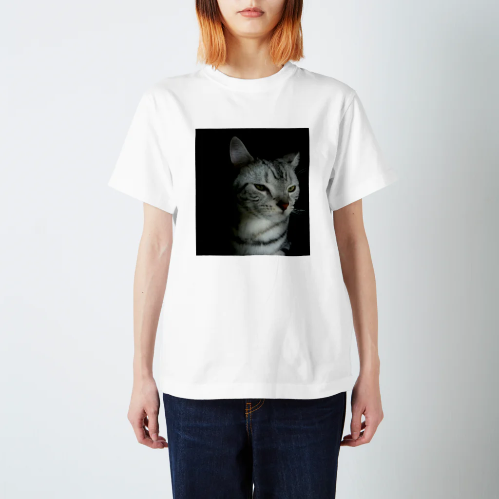 あんな日とか、こんな日とか。のPeter at night スタンダードTシャツ