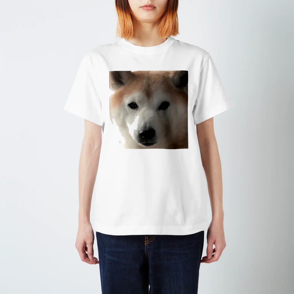 とりいの犬がみている Regular Fit T-Shirt