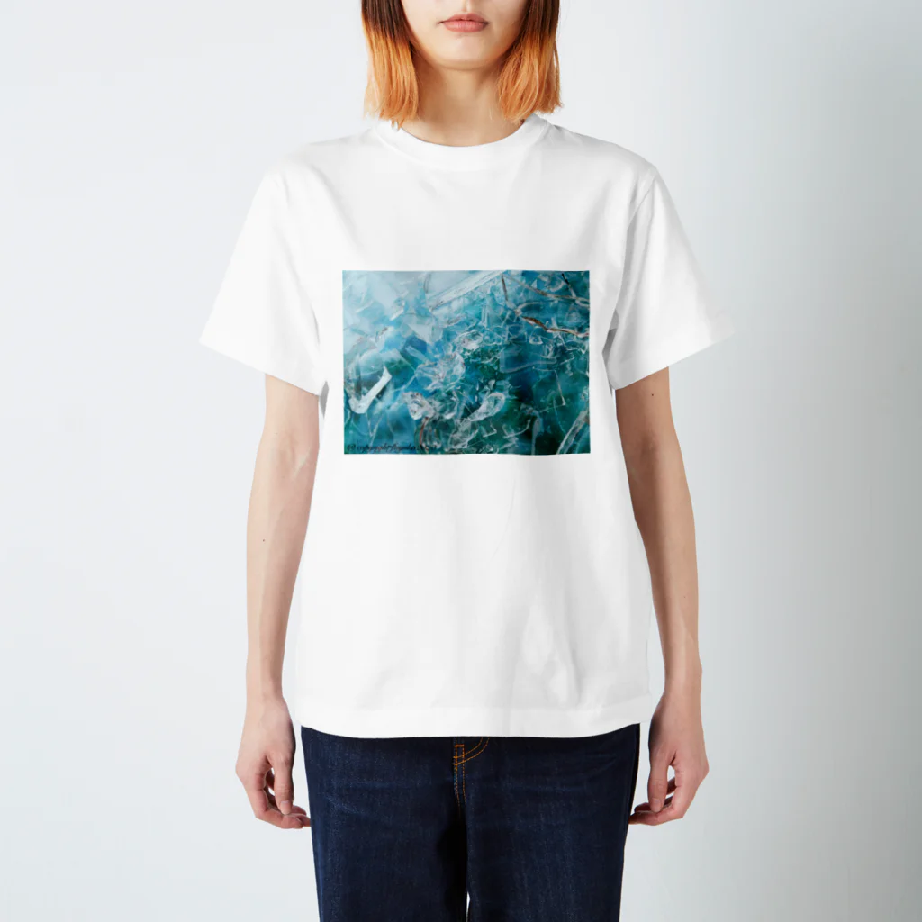 Fuyuka Okinoの流氷さん 티셔츠