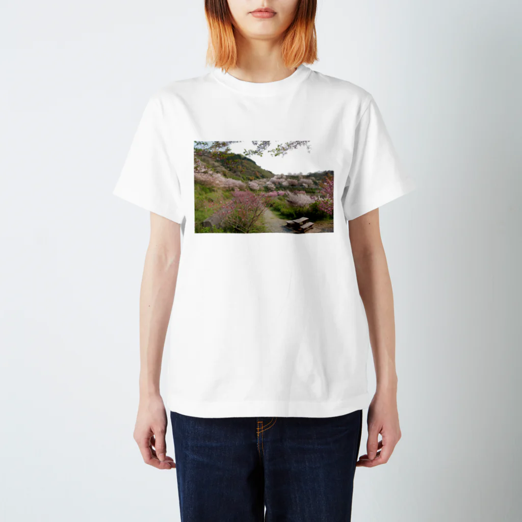 糸田の金山のサクラ スタンダードTシャツ