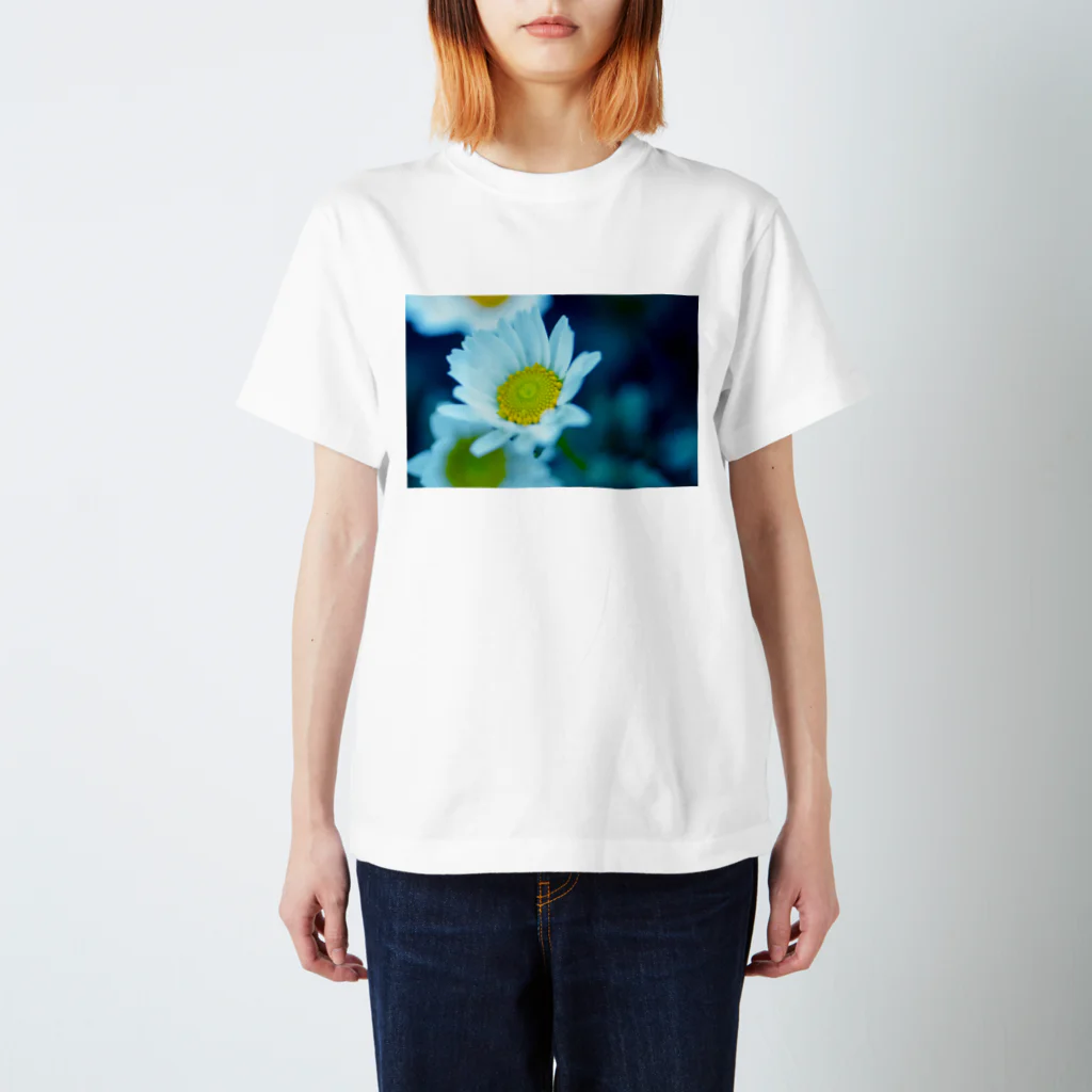 タマムシイロのお花なん スタンダードTシャツ