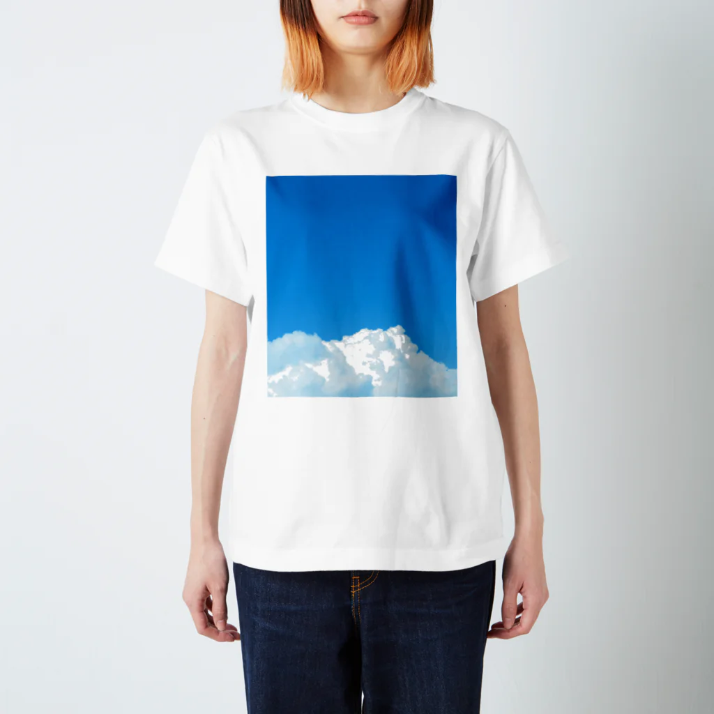 タマムシイロの空空 Regular Fit T-Shirt