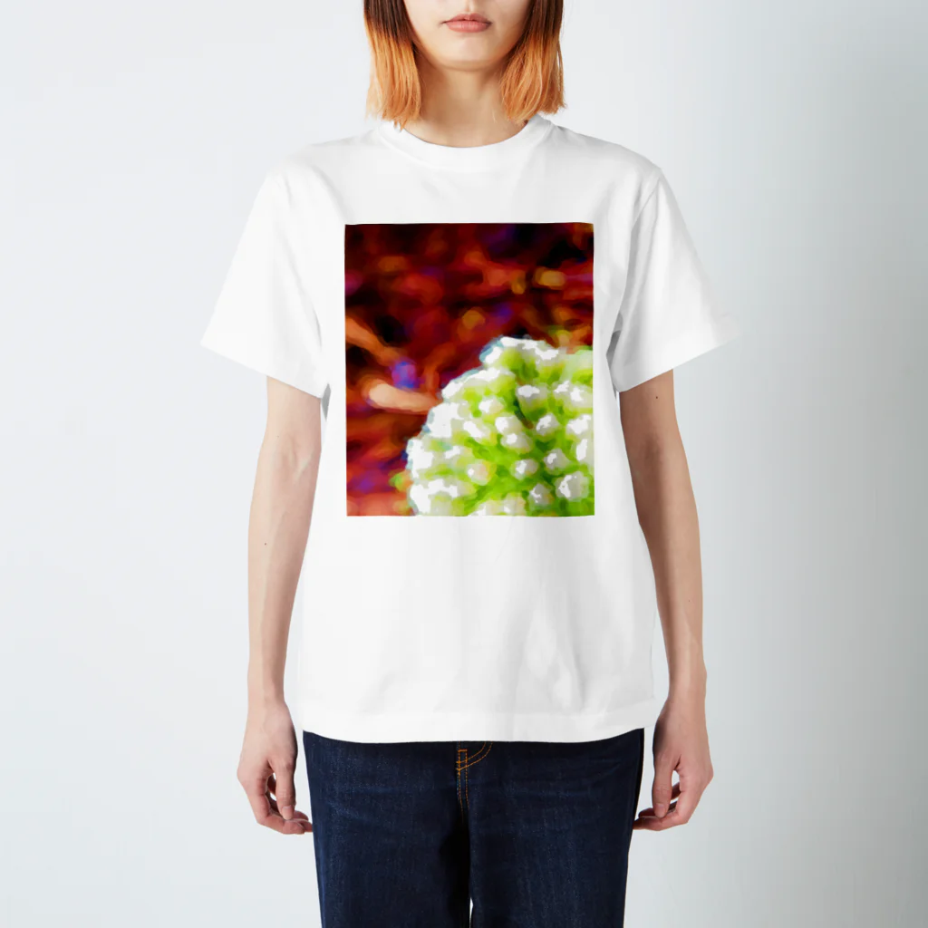 HaveーFun 嘉のHave-Fun Photo Play　なんかの花 スタンダードTシャツ