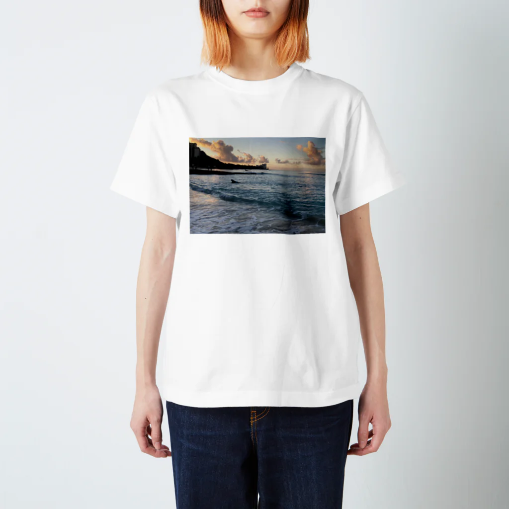 ライフスタイルグッズのHawaiian photograph Regular Fit T-Shirt