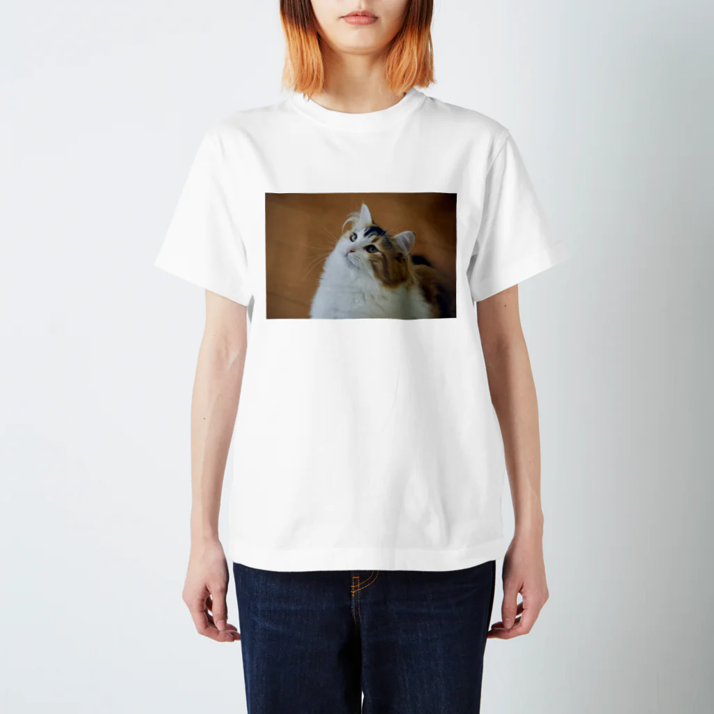 DORAMARUの猫のラムちゃん スタンダードTシャツ