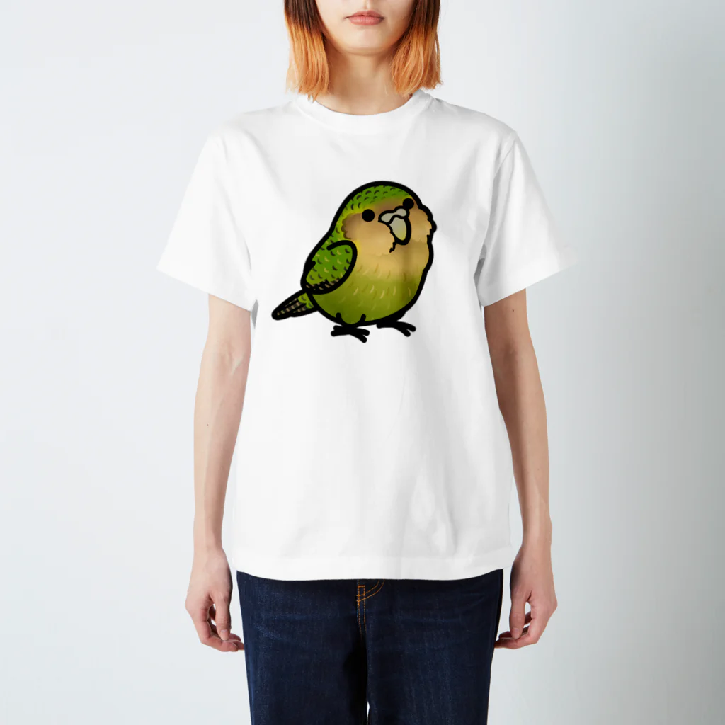 Cody the LovebirdのChubby Bird カカポ スタンダードTシャツ