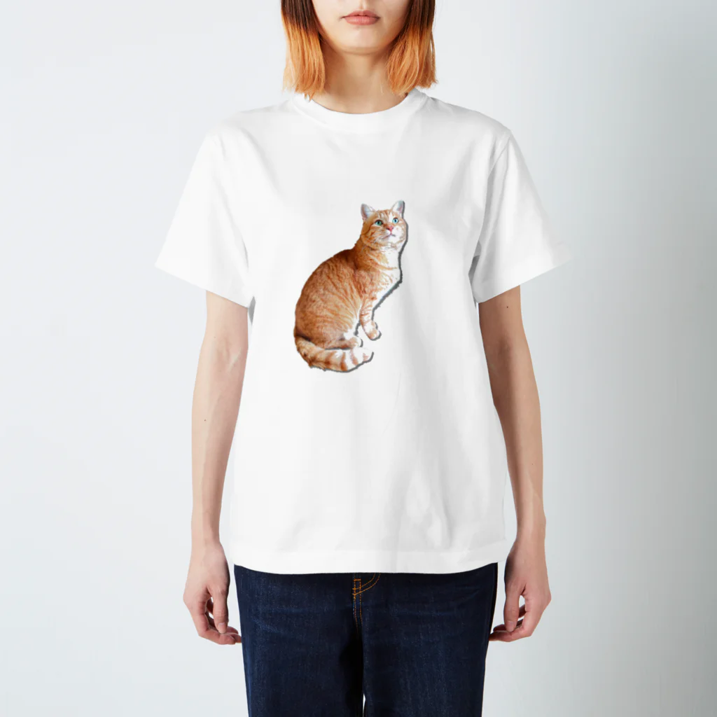 ともの茶トラにゃんこ おすまし Regular Fit T-Shirt