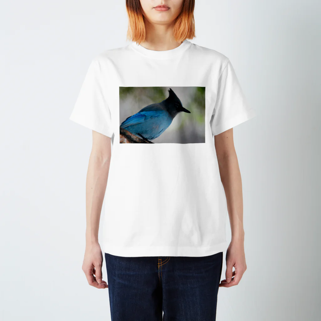 ぷらっこのヨセミテの青い鳥 Regular Fit T-Shirt