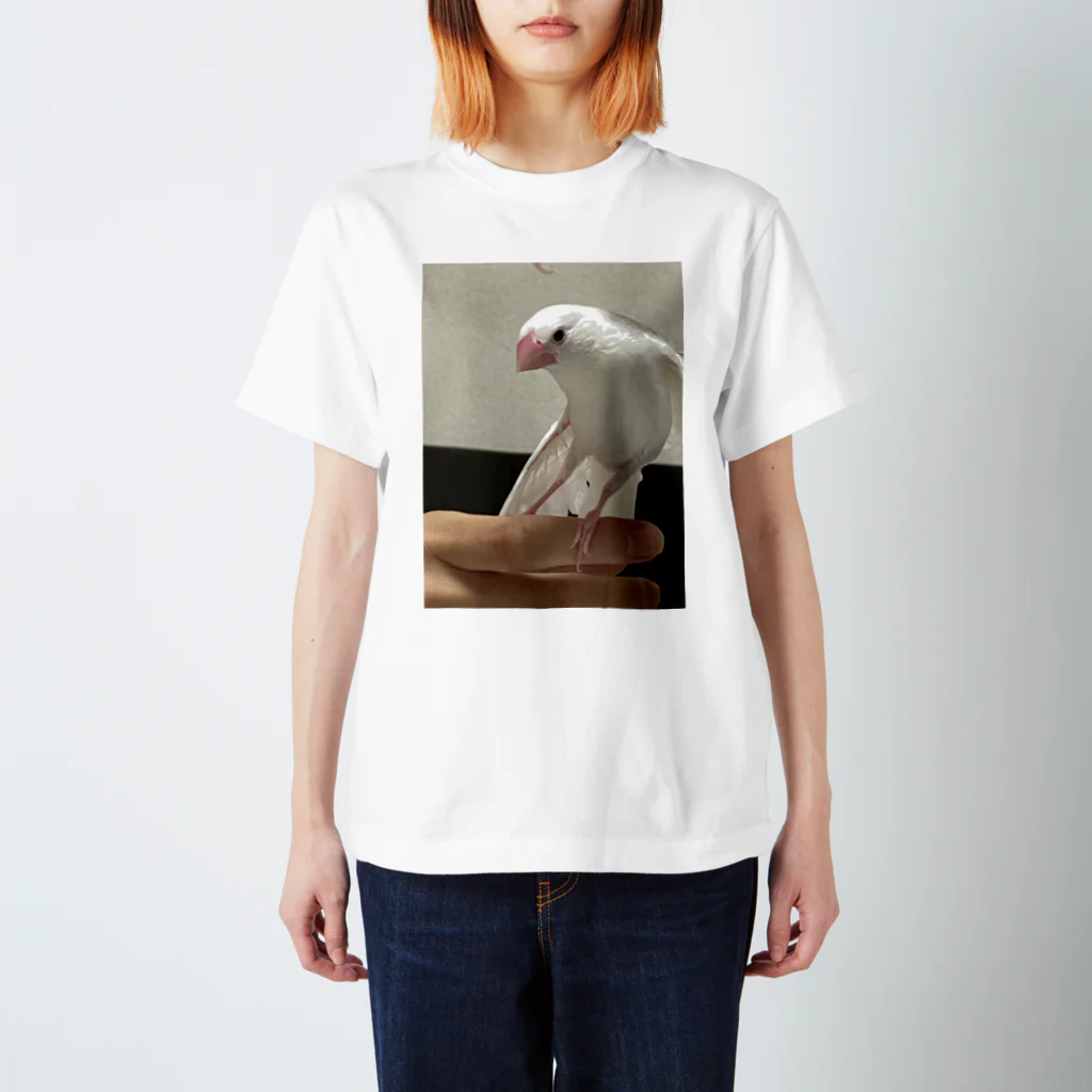 文鳥好きのまめちゃんのしょっぷ♪のまめ♪ スタンダードTシャツ