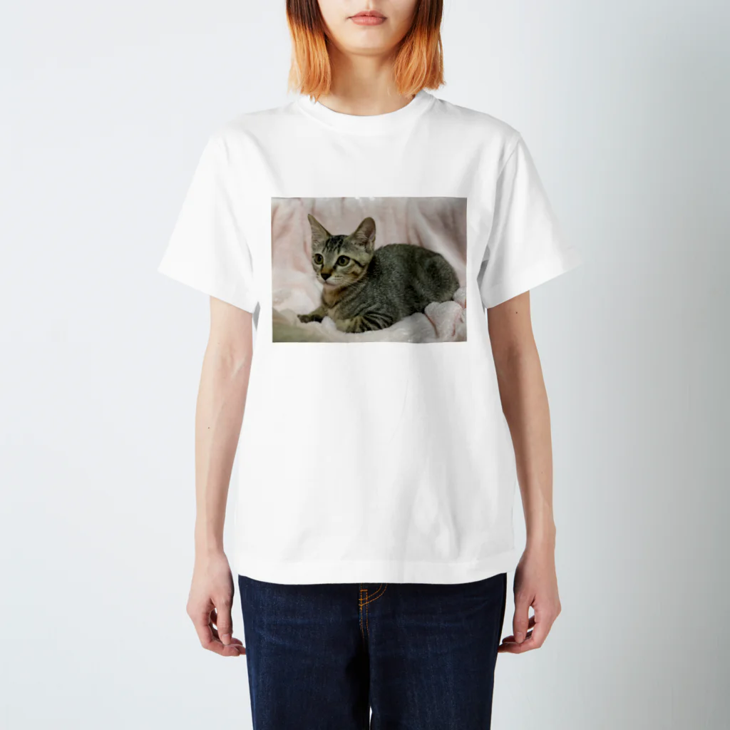 にゃんまるHOUSEのキジトラ(*ΦωΦ)leeﾘｰ Regular Fit T-Shirt