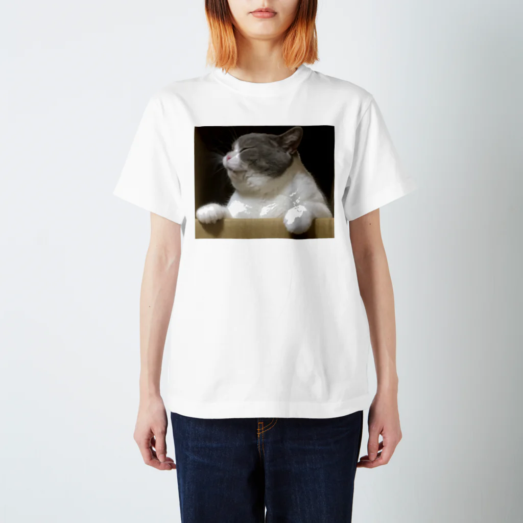 ミスタ君のぷー太郎 Regular Fit T-Shirt