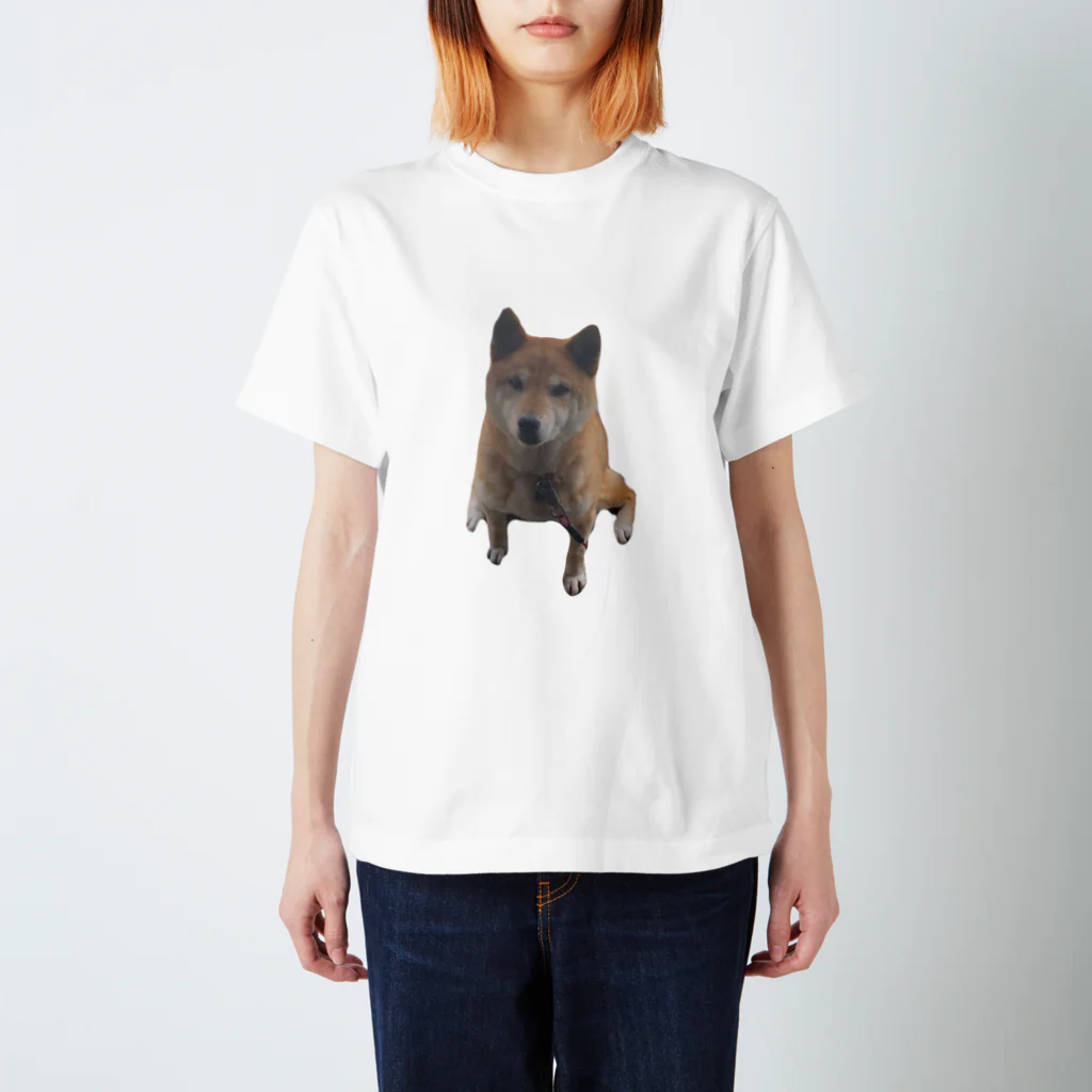 柴犬と柴犬のshibainuうちの子 Regular Fit T-Shirt