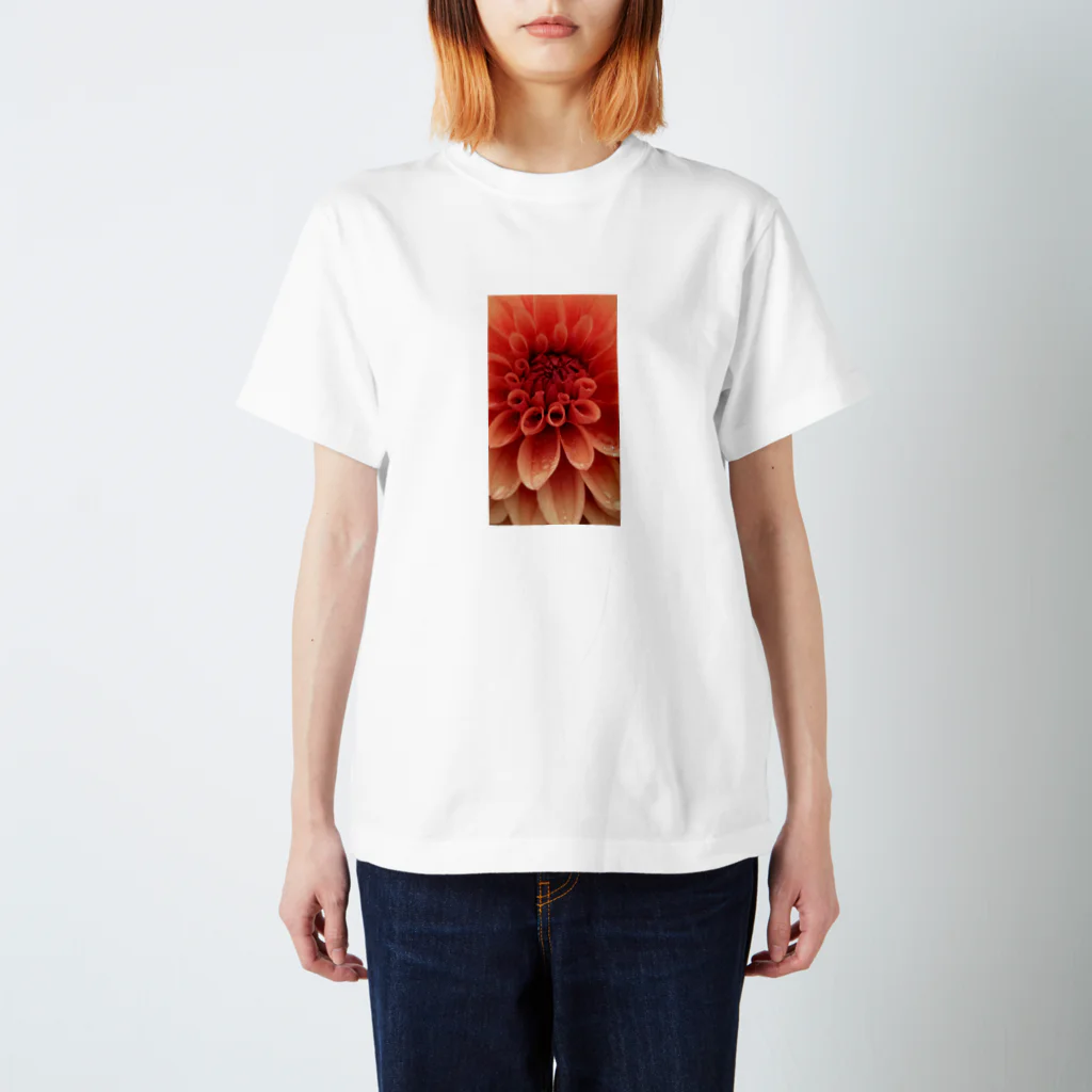 HAKUSAIの天竺牡丹 Regular Fit T-Shirt