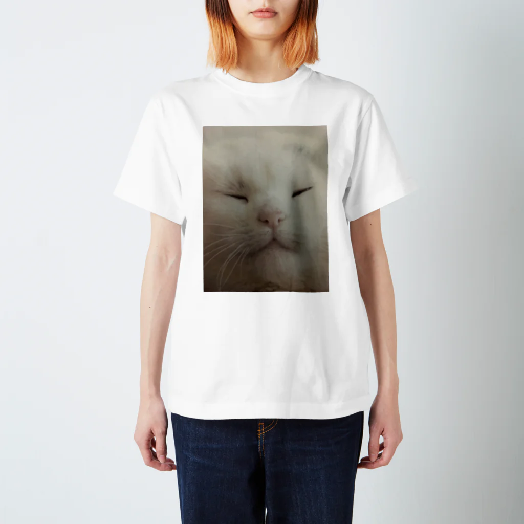 Oresamavvのnekosama スタンダードTシャツ