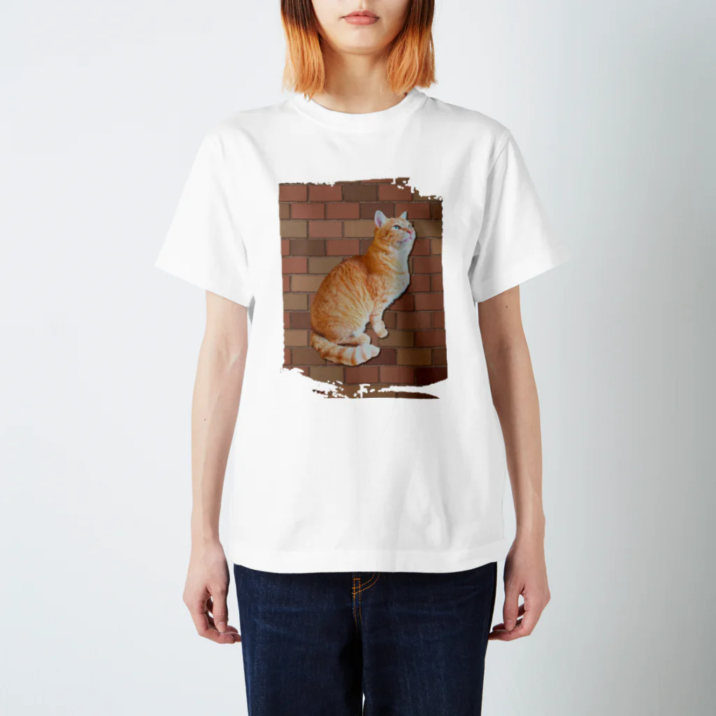 ともの茶トラにゃんこ Regular Fit T-Shirt