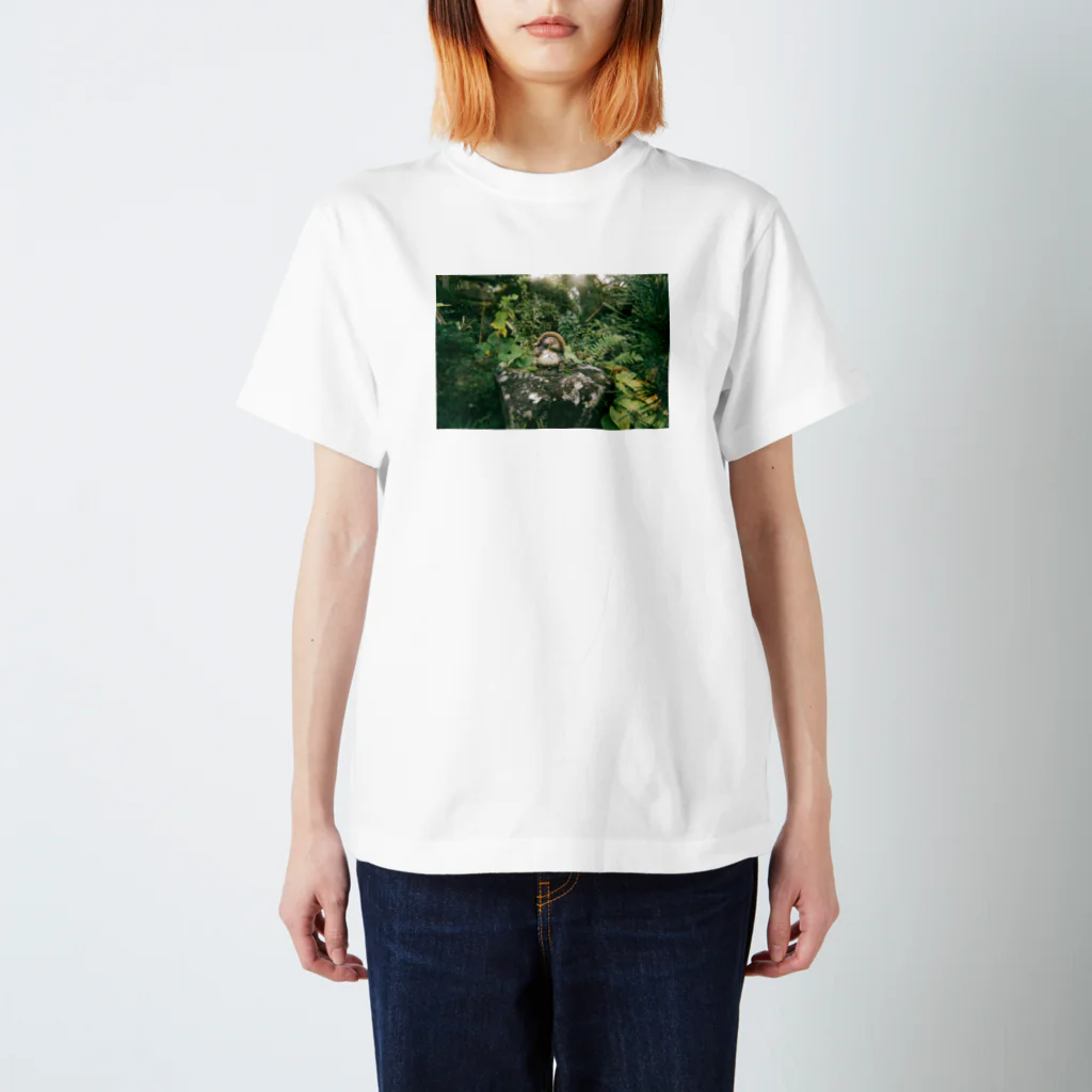 nono snap shopの緑のたぬき Regular Fit T-Shirt