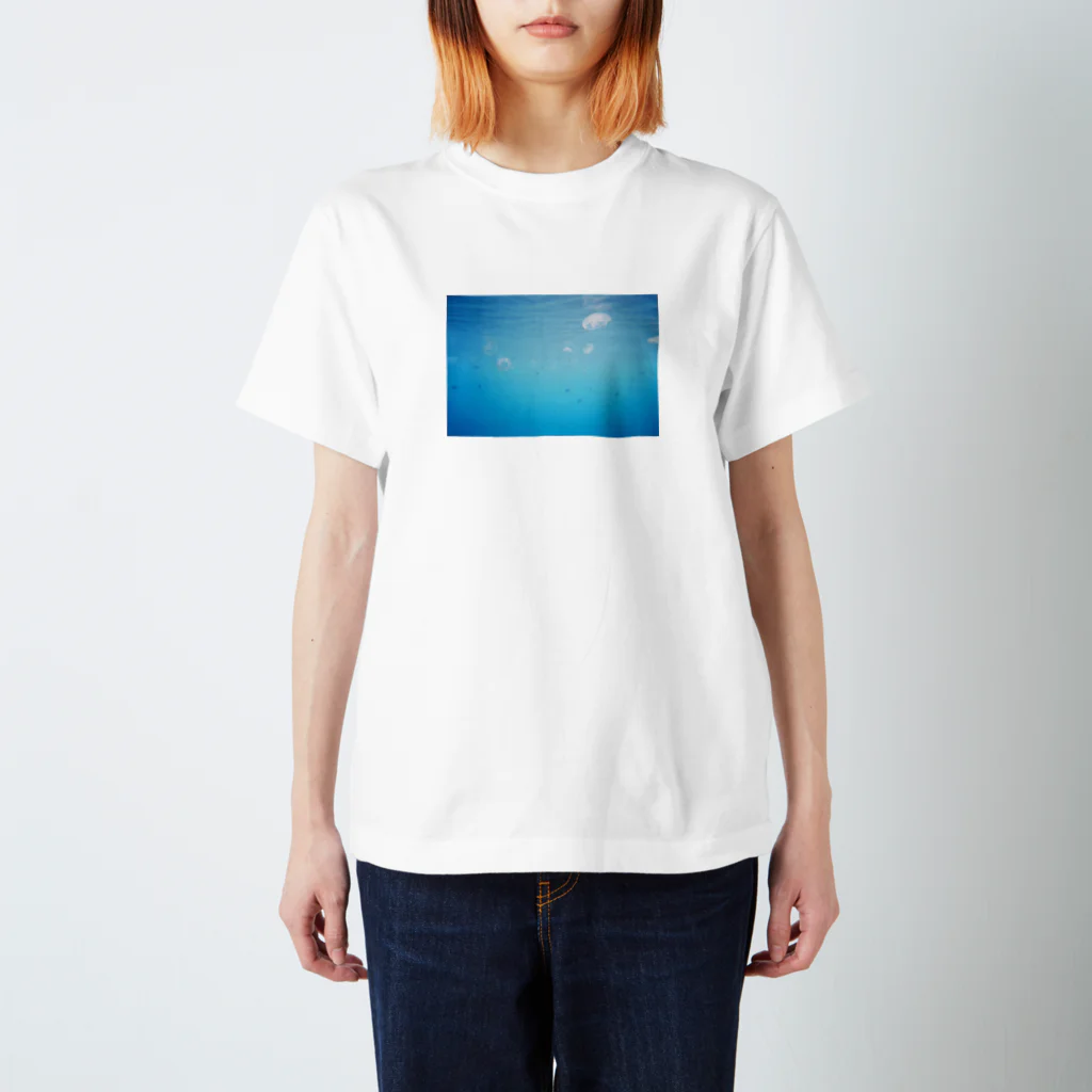 フィルム写真好きのぶにんのクラゲ スタンダードTシャツ