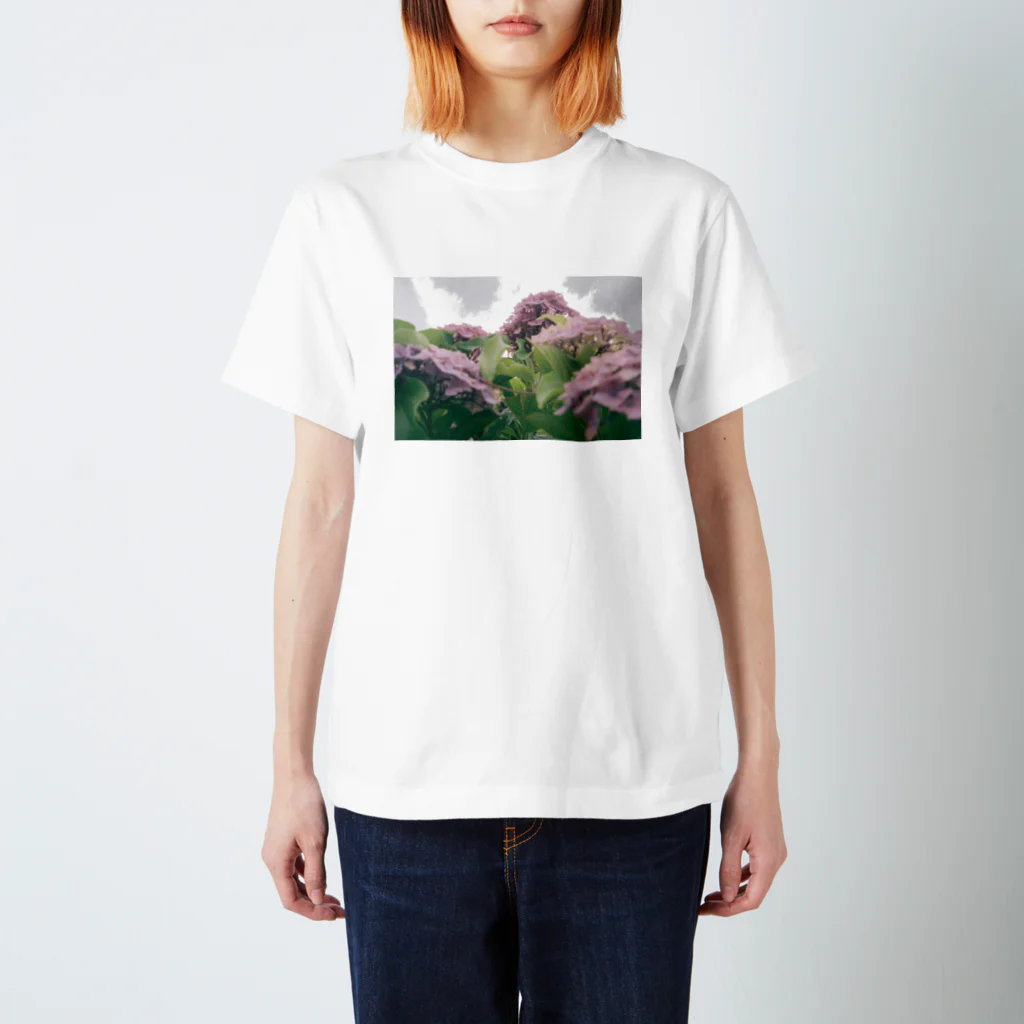 ハコニワの紫陽花 スタンダードTシャツ
