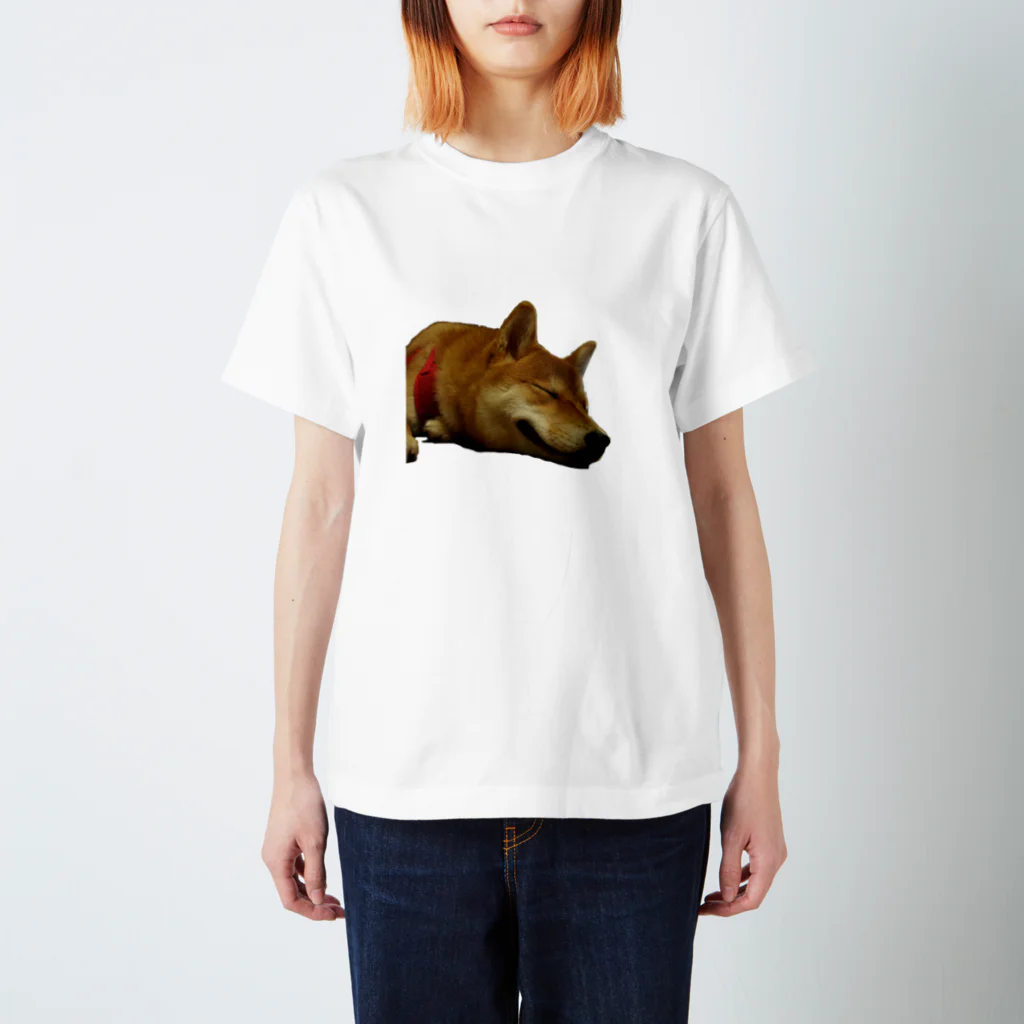 ヤモリの森の寝犬 Regular Fit T-Shirt