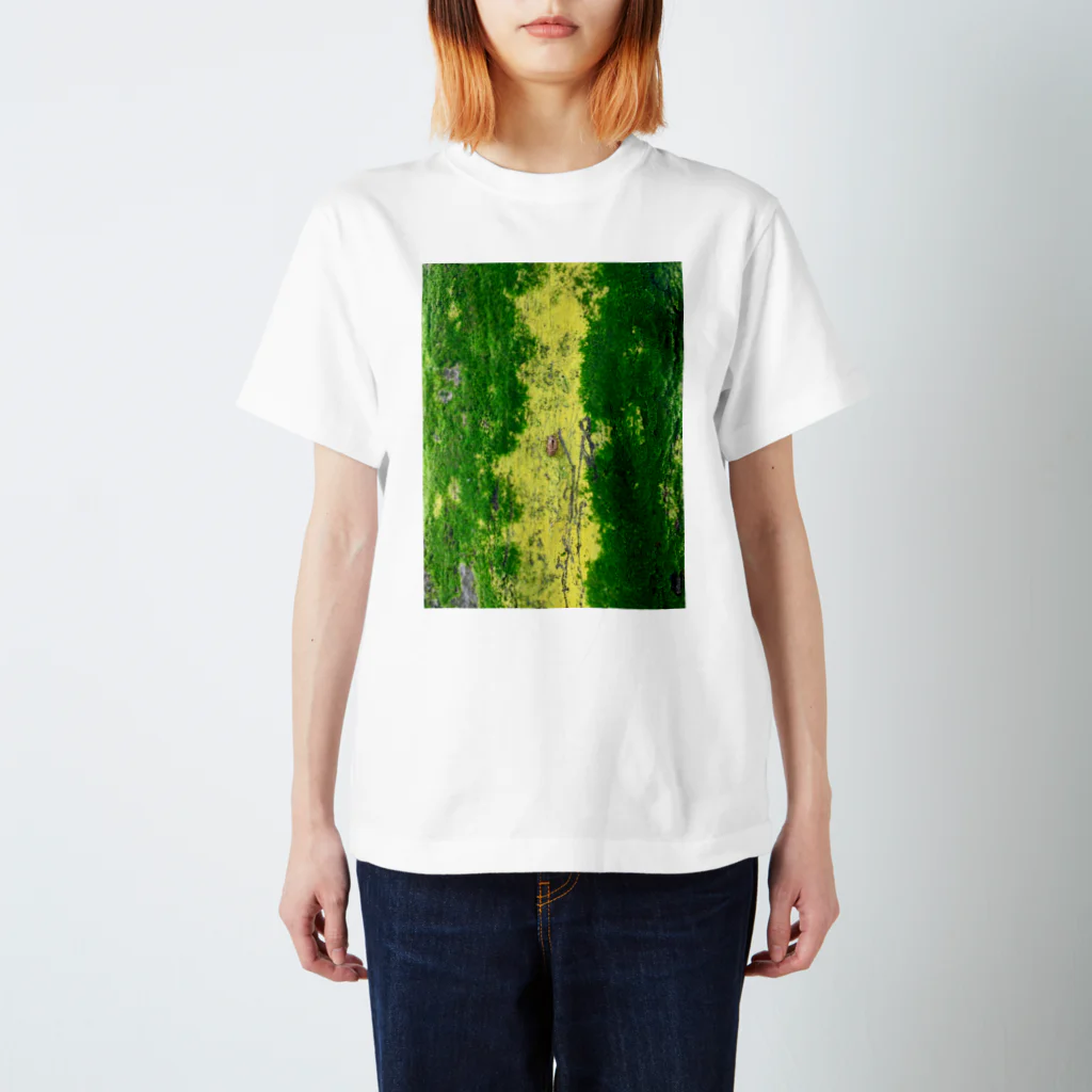 otamasanの苔の木とセミの抜け殻 スタンダードTシャツ