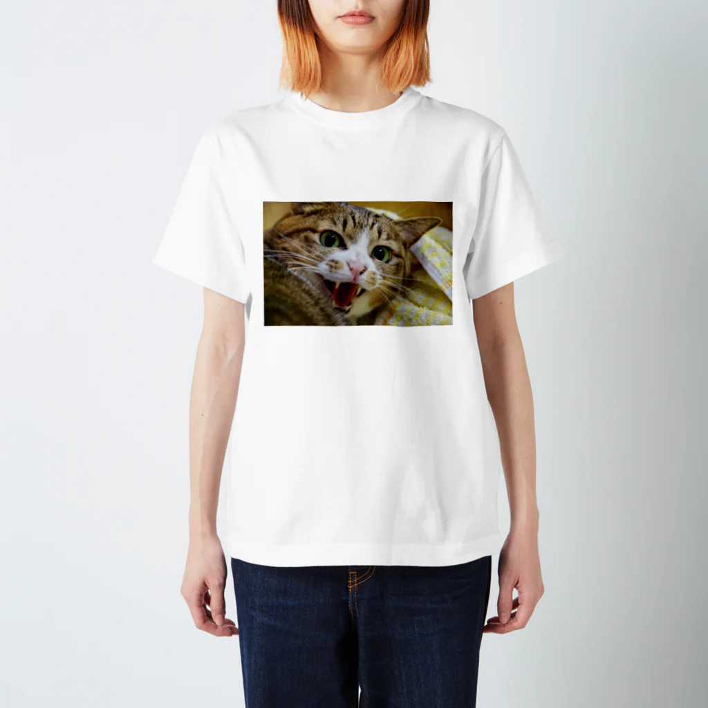 otamasanの威嚇ネコ スタンダードTシャツ