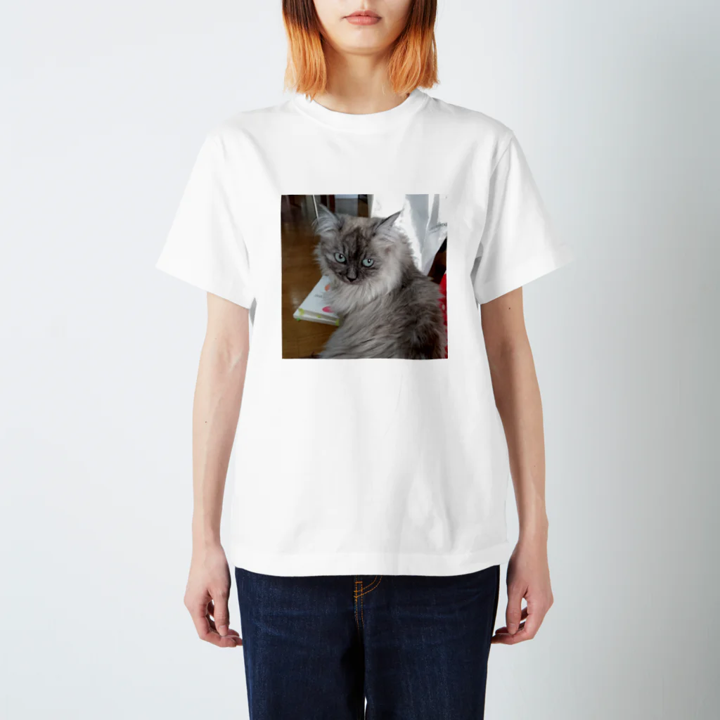 小圷のうちの猫 スタンダードTシャツ